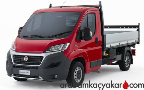 Ducato Kamyonet