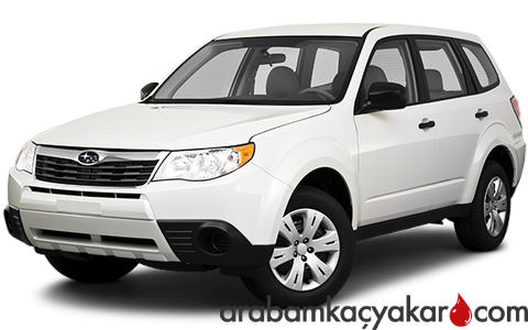 Forester 3