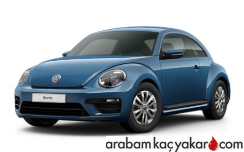 Beetle